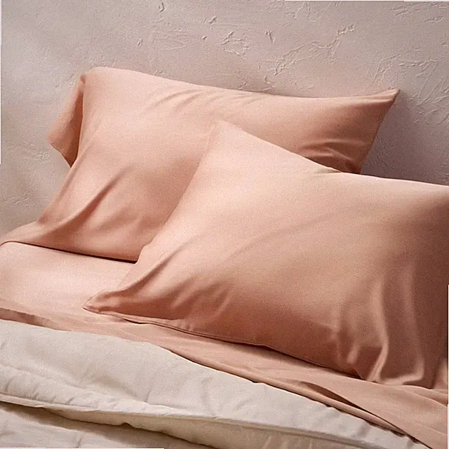 King 400 Thread Count Rayon from Bamboo Pillowcases Light Adobe Clay